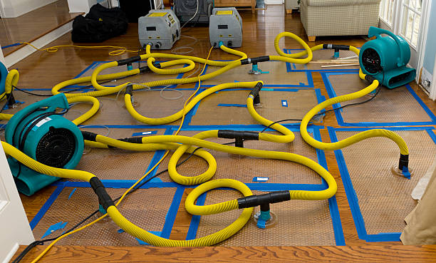 Professional Basement Flood Cleanup technician working in Monaca, PA